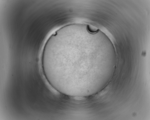 X0000102391152200808151915