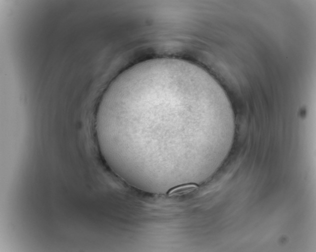 X0000102391153200808151914