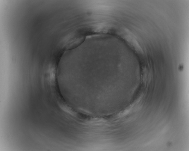 X0000102391154200808151914