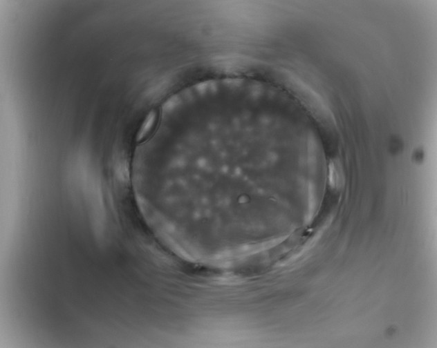 X0000102391155200808151914