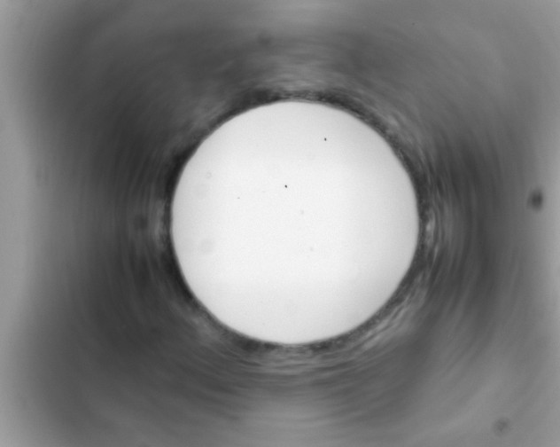 X0000102391156200808151914