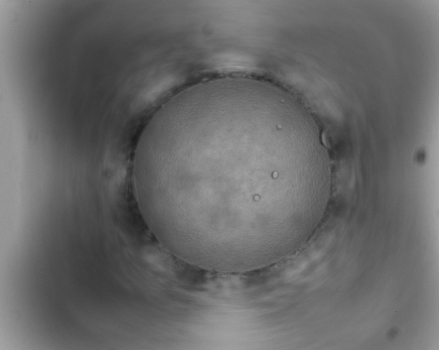 X0000102391157200808151914