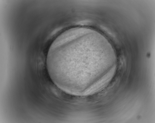 X0000102391158200808151914