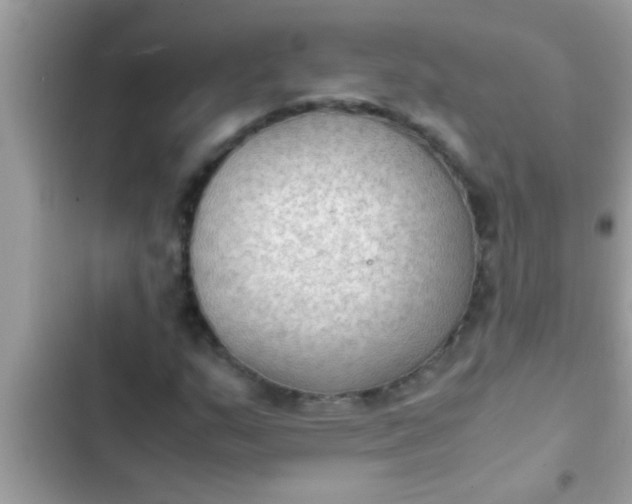 X0000102391159200808151914