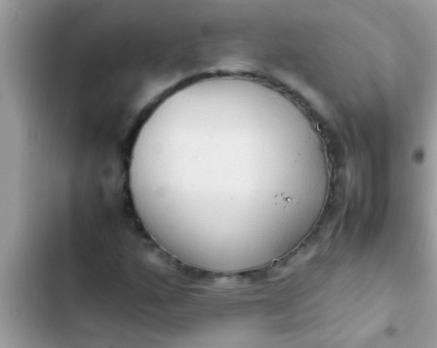 X0000102391160200808151914