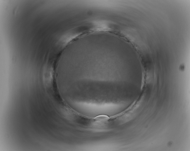 X0000102391161200808151914