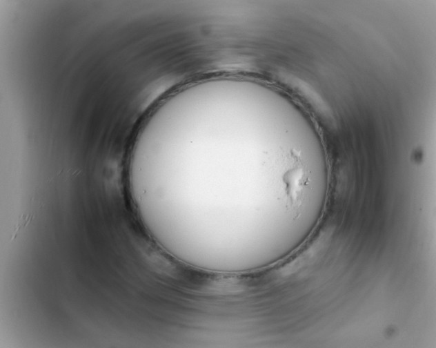 X0000102391162200808151914