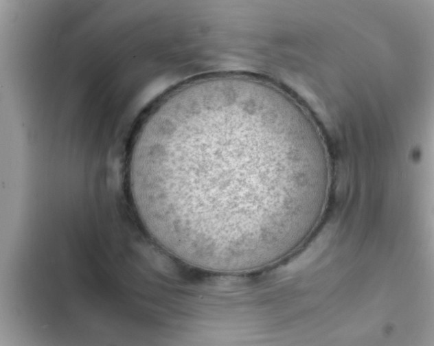 X0000102391163200808151914