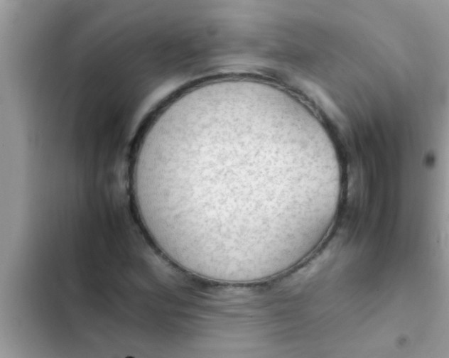 X0000102391164200808151914