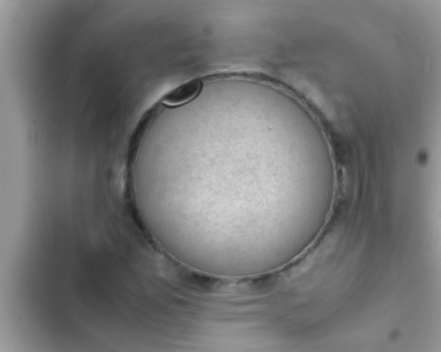 X0000102391165200808151914