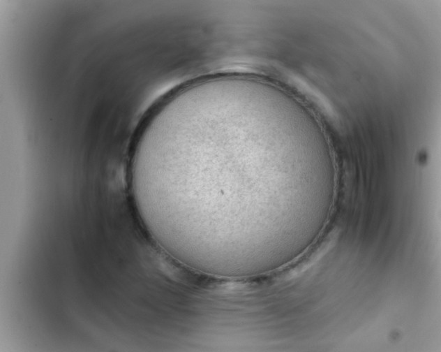 X0000102391166200808151914