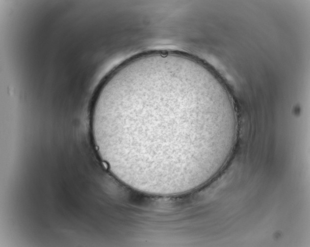 X0000102391167200808151914