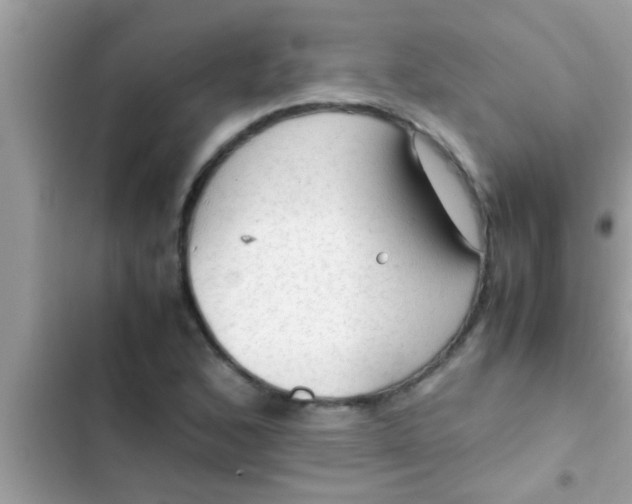 X0000102391168200808151914