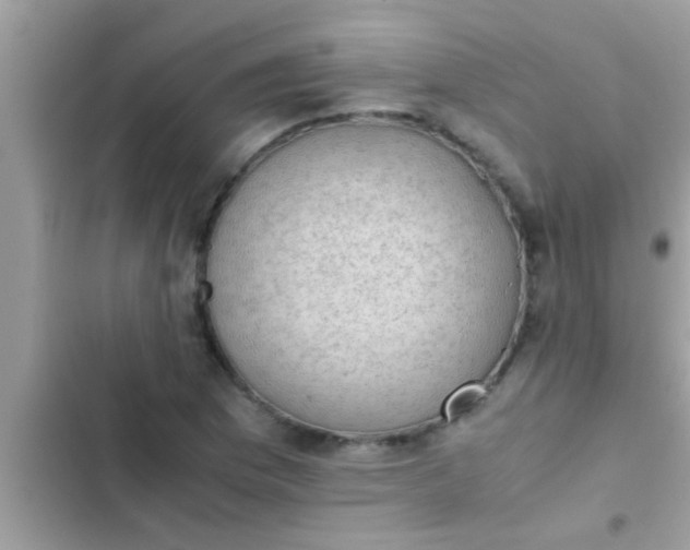 X0000102391169200808151914