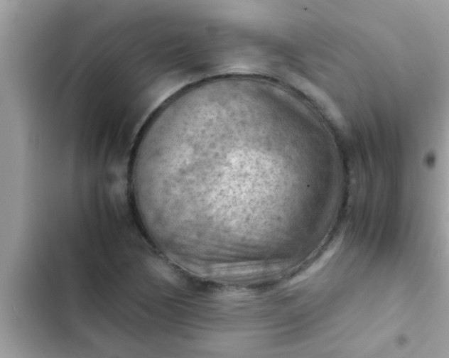 X0000102391170200808151914