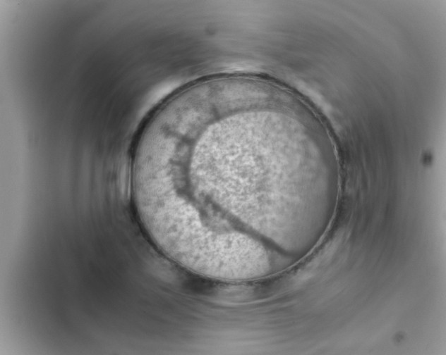 X0000102391171200808151914