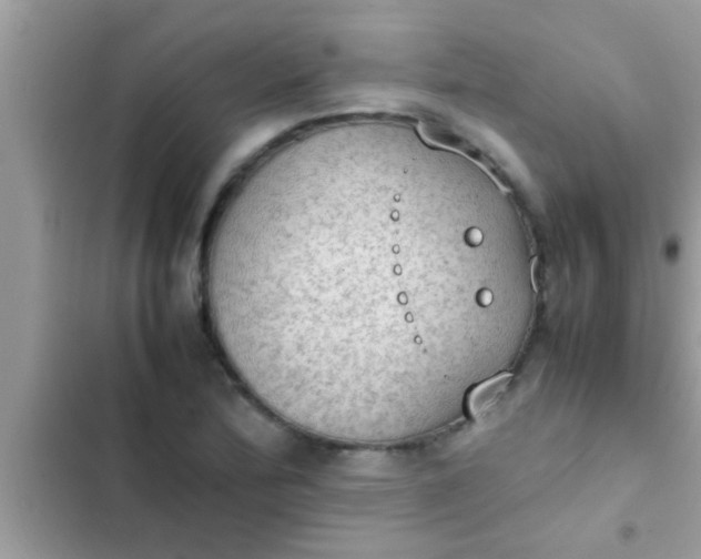 X0000102391172200808151914