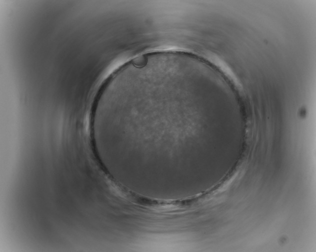 X0000102391173200808151914