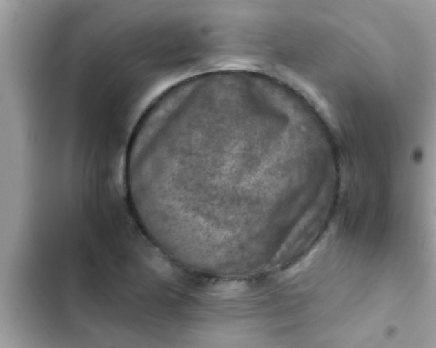 X0000102391174200808151914