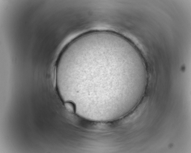 X0000102391175200808151914