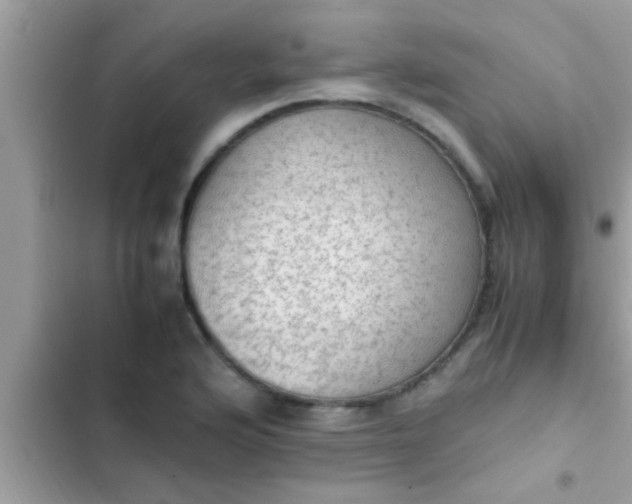 X0000102391176200808151914