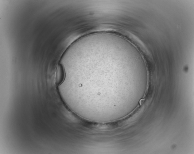 X0000102391177200808151914