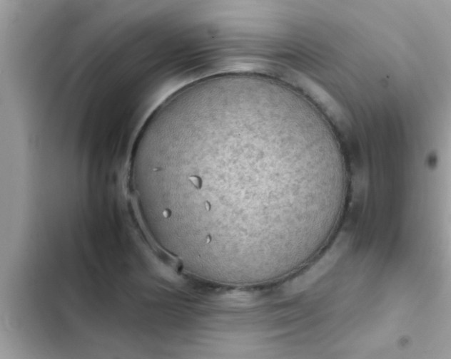 X0000102391178200808151914