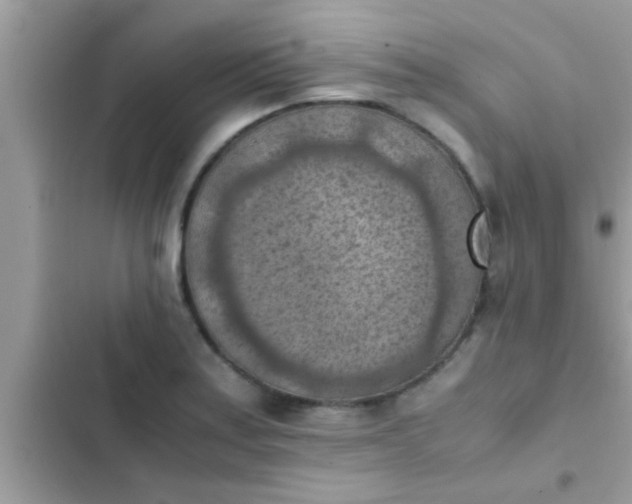 X0000102391179200808151914