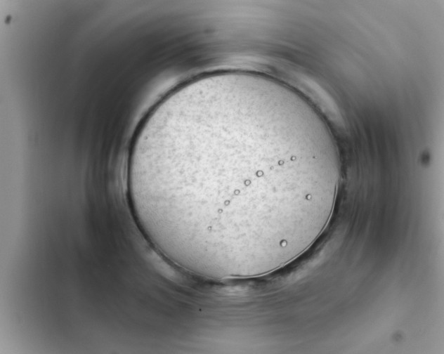 X0000102391180200808151914