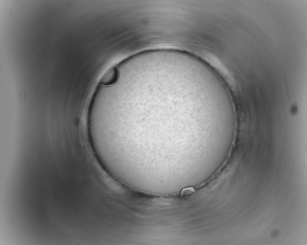 X0000102391181200808151914