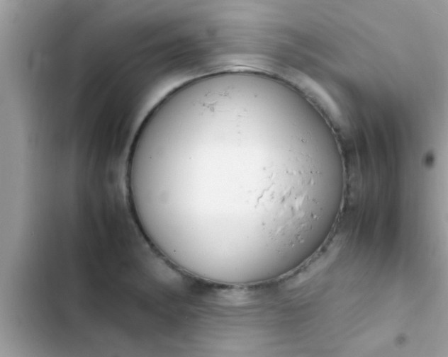 X0000102391182200808151914