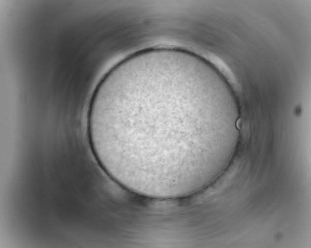 X0000102391183200808151914