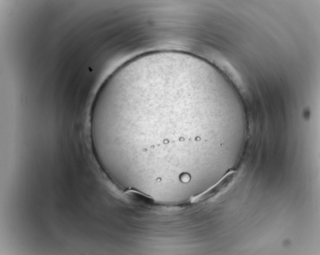 X0000102391184200808151914