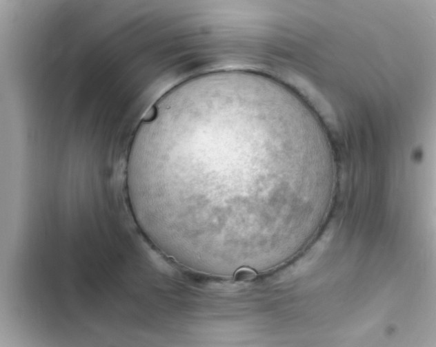 X0000102391185200808151914