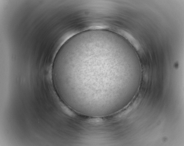 X0000102391186200808151914