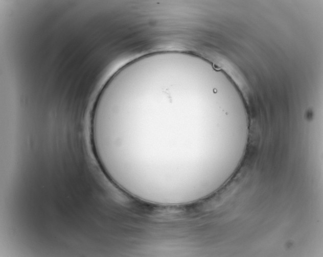 X0000102391187200808151914