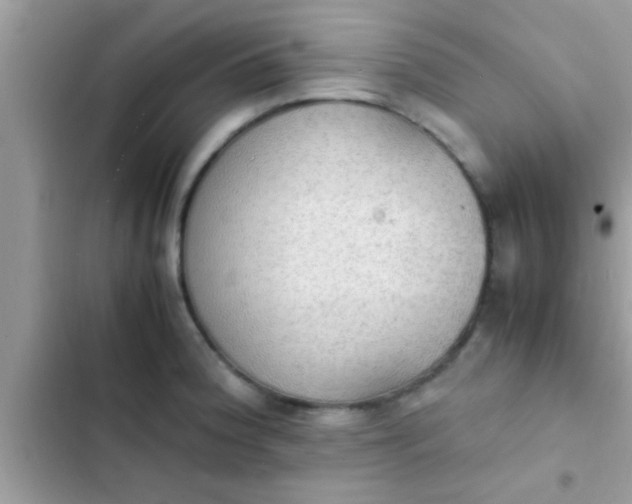 X0000102391188200808151914