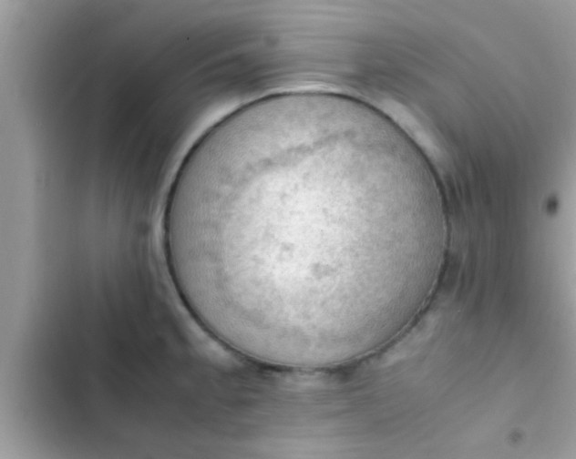 X0000102391189200808151914