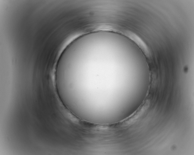 X0000102391190200808151914