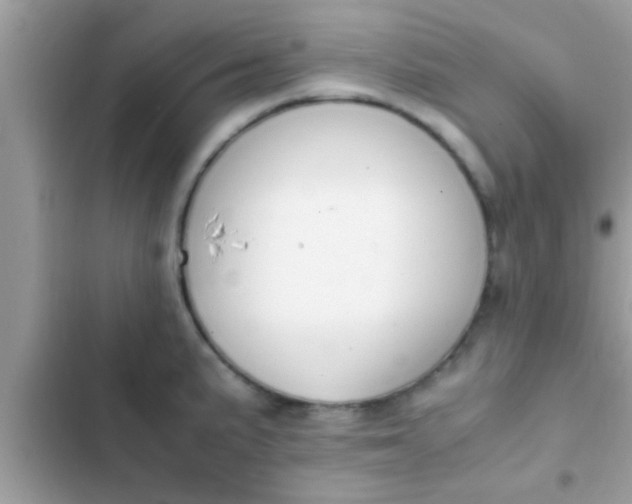 X0000102391191200808151913