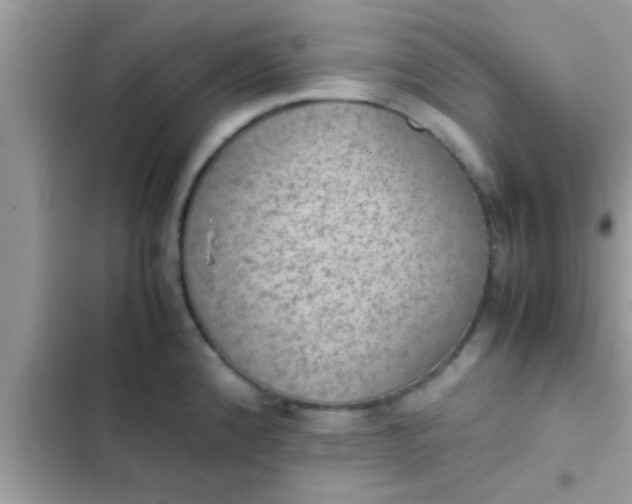 X0000102391192200808151913