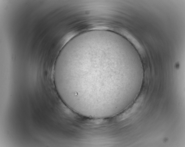 X0000102391193200808151913