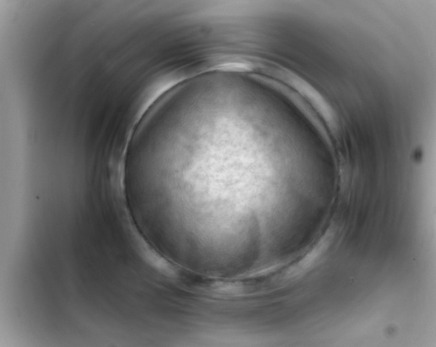 X0000102391194200808151913