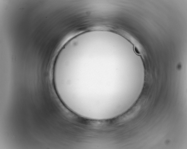 X0000102391195200808151913