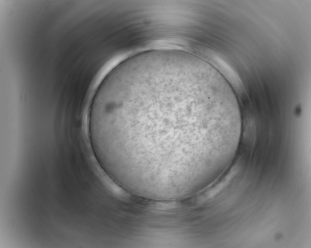 X0000102391196200808151913