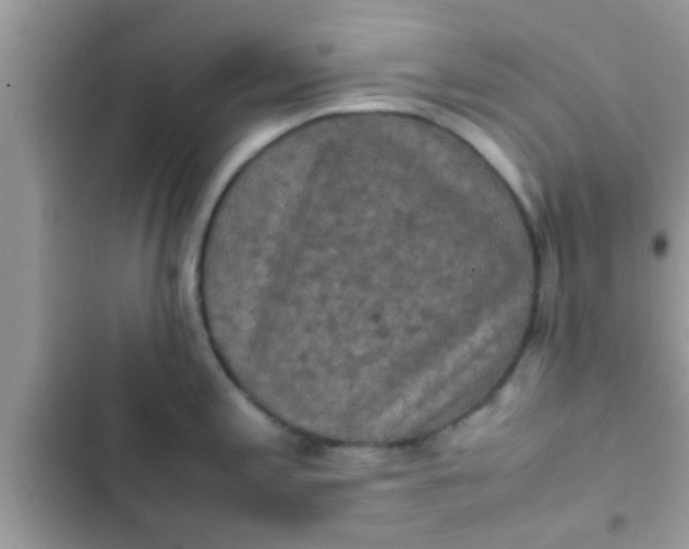 X0000102391197200808151913