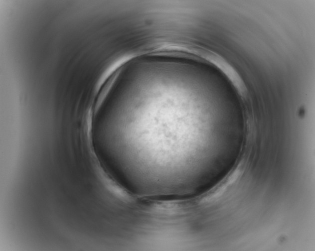 X0000102391198200808151913