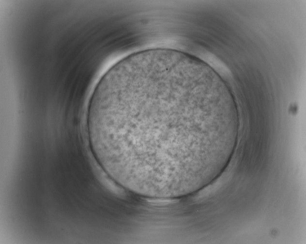 X0000102391200200808151913