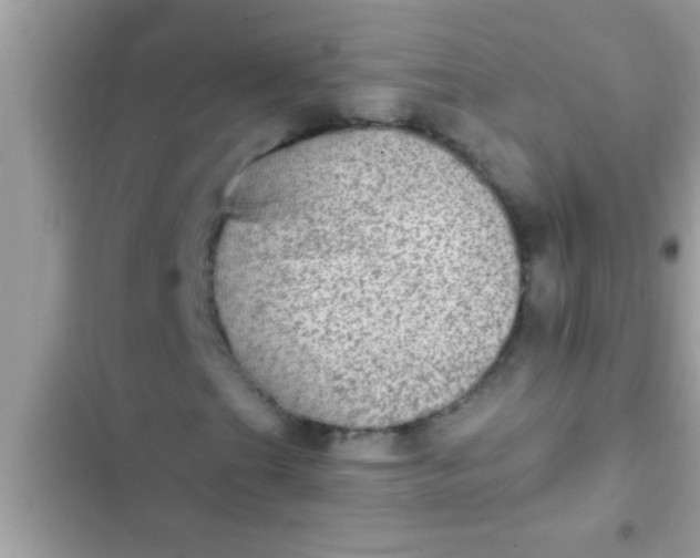 X0000102391201200808151913