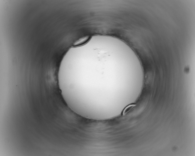 X0000102391202200808151913